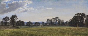 Ängarna vid Dortheaslyst av P.C. Skovgaard