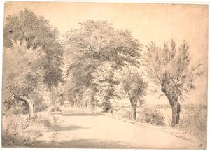 Landsvägen vid Vognserup säteri. av P.C. Skovgaard