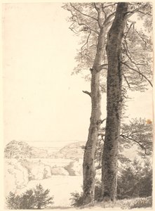 Landskap vid Skarritsø med två höga träd, bokar, i förgrunden. av P.C. Skovgaard