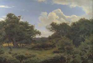 Ekar i Nordskoven nära Jægerspris, Zeeland av P.C. Skovgaard