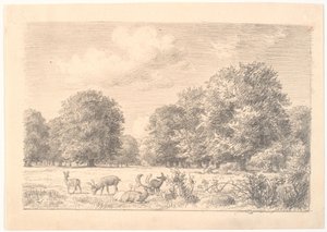 Parti från Dyrehaven med rådjur i glänta. av P.C. Skovgaard