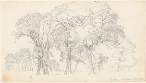 Parti från Knabstrup Dyrehave. av P.C. Skovgaard