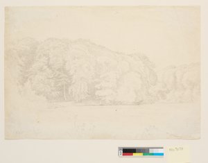 Skovsø med stora bokträd i bakgrunden. av P.C. Skovgaard