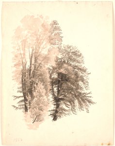Studie av toppen av några bokträd. av P.C. Skovgaard