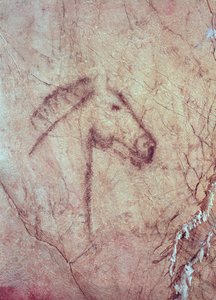 Head of a Horse, från Cueva de la Pena de Candamo San Roman (grottmålning)