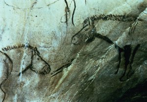 Hästar, hällmålningar i det svarta rummet, Magdalenian (grottmålning)