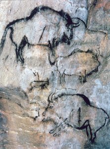 Skadad bison, Magdalenian (grottmålning)