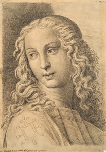 Head of a woman, från 42 Studies of Heads after Raphael