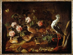 Stilleben med uggla och ibis - Nature morte avec une chouette et un ibis ...