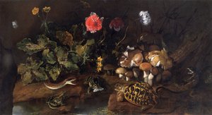 "Stilleben med en orm, grodor, sköldpadda och ödla", 1656-1673