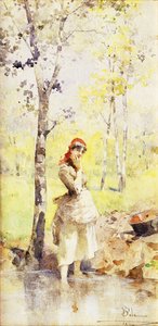Samla vatten,