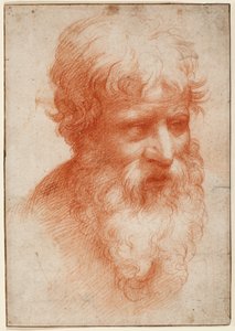 Huvud av en skäggig man, tittar åt höger, ca 1523-25 (röd krita på papper)