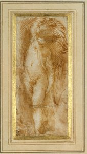 En putto vriden till vänster (penna & brunt bläck på papper) av Parmigianino