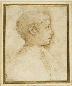 Byst av en pojke i profil till höger (penna & brunt bläck på vitt papper) av Parmigianino