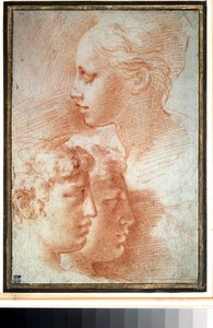 "Etude de tetes" (Studier av huvudena). Ansiktsprofil av ung flicka och pojkar. Teckning av Girolamo Francesco Maria Mazzola eller Mazzuoli dit il Parmigianino (Parmesanen av Parmigianino