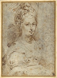 Halvlängd av en sittande kvinna (penna och bläck på papper) av Parmigianino