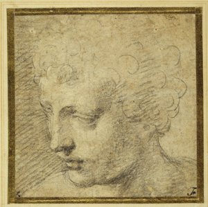 Huvudet på en pojke, nästan i profil till vänster (svart krita på tonat papper) av Parmigianino