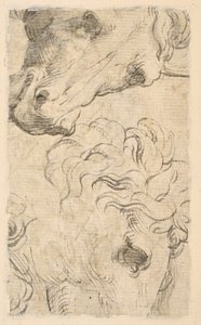 Två studier av hästhuvuden (fragment) (verso) av Parmigianino