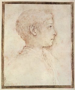 Chef för en pojke av Parmigianino