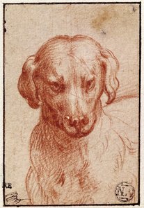 Head of a Dog (röd krita på papper) av Parmigianino