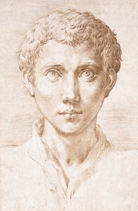 Huvudet för en ung man som tittar upp, av Parmigianino