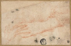 Skiss av vänster hand och handled av Parmigianino