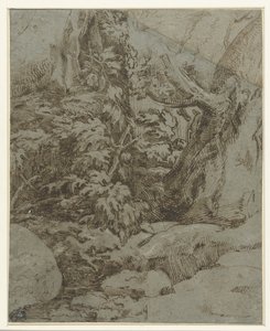 Studie av ett landskap av Parmigianino