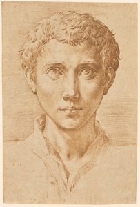 Huvudet av en ung man av Parmigianino