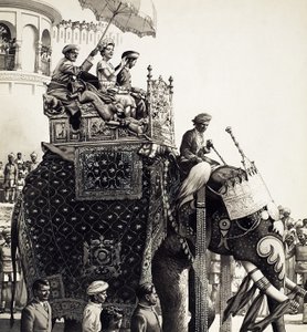 Drottning Elizabeth II på en elefant (gouache)