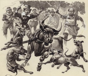 Bull baiting (gouache på papper)