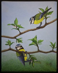 Bluetits, 2016 av Pat Scott