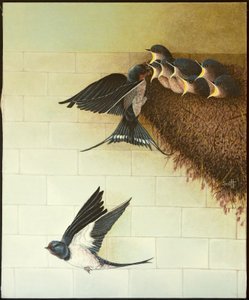 Hungry Mouths, 2011 (akryl på kaliko) av Pat Scott