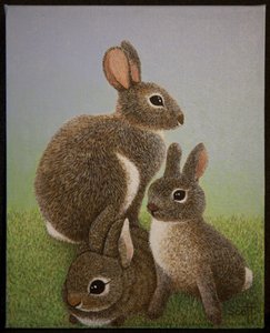 Familjen Rabbit, 2016 av Pat Scott