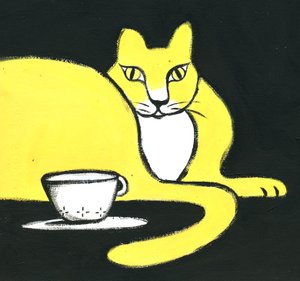 Katt