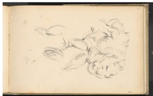 Pioner av Paul Cézanne
