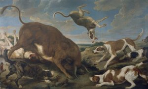 TJÄRA ATTACKAD AV HUNDAR - 1600-TALET - KANVAS 210 × 346 cm - BAROCK FLAMENCO