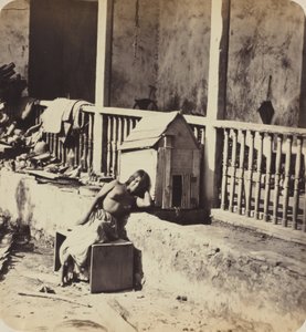 Garvel hund (Martinique),1870-talet (foto) av Paul Emile Miot