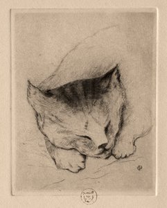 Sex etsningar: Head of a Kitten, 1895.