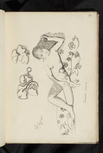 Före och efter - ritning "Dekorativ person" av Paul Gauguin