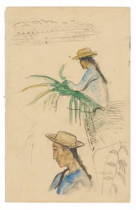 Skisser av figurer, Pandanus-blad och vaniljväxt av Paul Gauguin