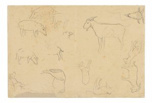 Skisser av olika djur och huvud (recto), Skisser av ett huvud, figur i profil, anatomiska detaljer och djur (verso) av Paul Gauguin