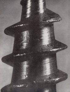 Gänga på en liten skruv (svartvitt foto)