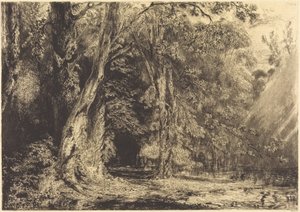 Översvämning i skogen på Île Séguin av Paul Huet