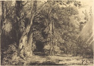 Översvämning i skogen Ile Séguin