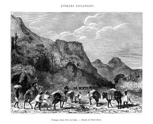 Landskap på ön Kuba, 1800-talet