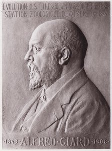 Alfred Giard (1846-1908), zoolog, porträtt (litho) av Paul Marie Louis Pierre Richer
