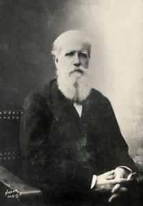 Porträtt av Dom Pedro , kejsare av Brasilien (foto) av Paul Nadar