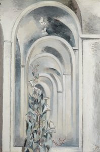 Convolvulus av Paul Nash
