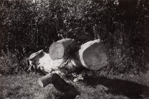 Hitta objekt av Paul Nash