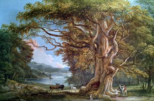 Ett gammalt bokträd, 1794